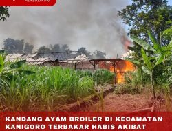 KANDANG AYAM BROILER DI KECAMATAN KANIGORO TERBAKAR HABIS AKIBAT MESIN PEMANAS AYAM DOC
