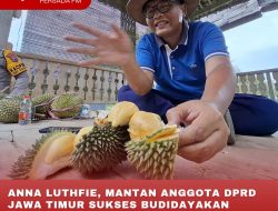 ANNA LUTHFIE, MANTAN ANGGOTA DPRD JAWA TIMUR SUKSES BUDIDAYAKAN DURIAN DI KABUPATEN BLITAR