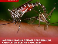 LAPORAN KASUS DEMAM BERDARAH DI KABUPATEN BLITAR PADA 2024 MENINGKAT SIGNIFIKAN DIBANDING 2023