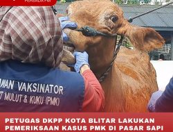 PETUGAS DKPP KOTA BLITAR LAKUKAN PEMERIKSAAN KASUS PMK DI PASAR SAPI DIMORO, DITEMUKAN HEWAN ALAMI DIARE