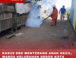 KASUS DBD MENYERANG ANAK KECIL, WARGA KELURAHAN GEDOG KOTA BLITAR LAKUKAN FOGGING