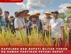KAPOLRES DAN BUPATI BLITAR TURUN KE SAWAH PASTIKAN PETANI DAPAT HARGA LAYAK SAAT PANEN