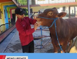 IKLIM TROPIS DORONG KASUS CACING HATI DI KABUPATEN BLITAR, DISNAKKAN : TINGKATKAN KEWASPADAAN PASCA KURBAN