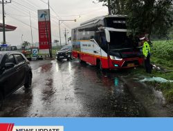 BUS HARAPAN JAYA TABRAK POHON DI KECAMATAN PONGGOK, KABUPATEN BLITAR SAAT HINDARI PICK UP