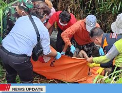GEGER! WARGA TEMUKAN JENAZAH SEORANG PRIA DI SAWAH GANDUSARI GEGER! WARGA TEMUKAN JENAZAH SEORANG PRIA DI SAWAH GANDUSARI