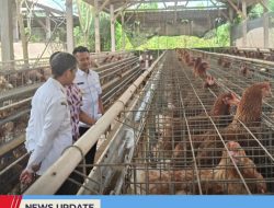 WAKIL BUPATI BLITAR TINJAU PETERNAKAN AYAM PETELUR, DORONG STABILISASI PRODUKSI DAN UPAYA EKSPOR