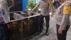 IMG 20250709 WA0011