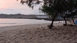 IMG 20250711 WA0008