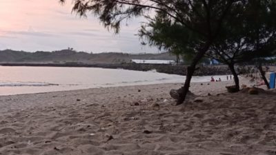 IMG 20250711 WA0008