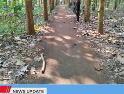 PEREMPUAN DI BLITAR JADI KORBAN BEGAL DI HUTAN JATI SUTOJAYAN, MOTOR DAN TAS BERISI HP RAIB