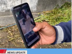 SAPI MILIK WARGA KECAMATAN SANANWETAN DIGONDOL MALING, KAPOLSEK SANANWETAN BURU PELAKU