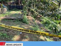 INILAH ALASAN LADANG GANJA WARGA KECAMATAN GANDUSARI BARU TIDAK MENIMBULKAN KECURIGAAN DARI WARGA