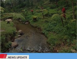 PENAT SETELAH BEKERJA? NIKMATI LIBUR DENGAN MENGUNJUNGI SURGA TERSEMBUNYI DI DESA KRISIK