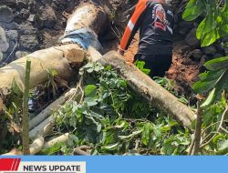 BELASAN POHON DAN SEJUMLAH RUMAH TERDAMPAK HUJAN DISERTAI ANGIN PADA RABU SORE, BPBD KOTA BLITAR TELAH EVAKUASI