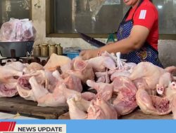 HARGA DAGING AYAM MELEJIT SEBABKAN PERMINTAAN MEROSOT, MEMBUAT PEDAGANG MENJERIT