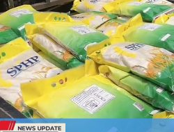 JADI SALAH SATU KDMP YANG TELAH AKTIF BEROPERASI, DESA NGORAN BEKERJA SAMA DENGAN BULOG