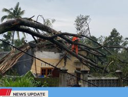 AKIBAT CUACA EKSTREM DI WILAYAH KECAMATAN NGLEGOK DAN SEKITARNYA, BPBD KABUPATEN BLITAR CATAT SEJUMLAH KERUSAKAN RUMAH WARGA