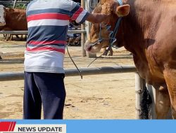 SEIRING CAPAIAN VAKSINASI PMK DI KABUPATEN BLITAR, ANGKA KESEMBUHAN SEMAKIN MEMBAIK