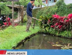 PUNCAK PECEL BLITAR, KUDAPAN FAVORIT YANG BISA DICICIPI SEMBARI MELIHAT KEINDAHAN ALAM SIRAH KENCONG