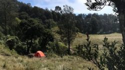 JALUR PENDAKIAN GUNUNG BUTHAK VIA PUNCAK LANGIT DIBUKA, PARA PENDAKI SIAPKAH UNTUK MENCOBA?