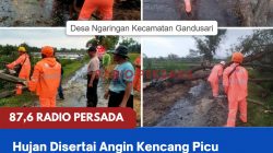 Hujan Disertai Angin Kencang Picu Pohon Tumbang di Sejumlah Wilayah Kabupaten Blitar