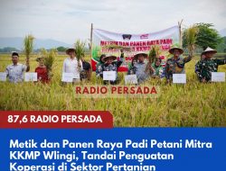 Metik dan Panen Raya Padi Petani Mitra KKMP Wlingi Tandai Penguatan Koperasi di Sektor Pertanian