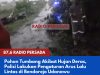 Pohon Tumbang Akibat Hujan Deras, Polisi Lakukan Pengaturan Arus Lalu Lintas di Bendorejo Udanawu
