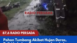 Pohon Tumbang Akibat Hujan Deras, Polisi Lakukan Pengaturan Arus Lalu Lintas di Bendorejo Udanawu