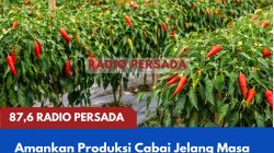 Amankan Produksi Cabai Menjelang Masa Panen, Pemkab Blitar Intensifkan Gerdal Hama dan Penyakit