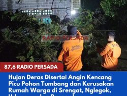 Hujan Deras Disertai Angin Kencang Picu Pohon Tumbang dan Kerusakan Rumah Warga di Srengat, Nglegok, Udanawu dan Ponggok