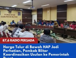 Harga Telur di Bawah HAP Jadi Perhatian, Pemkab Blitar Koordinasikan Usulan ke Pemerintah Pusat