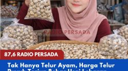 Tak Hanya Telur Ayam, Harga Telur Puyuh Terjun Bebas Usai Lebaran, Peternak Hadapi Tekanan Biaya Produksi