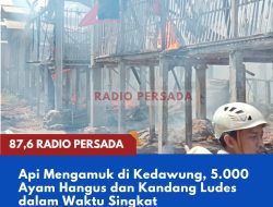 Api Mengamuk di Kedawung, 5.000 Ayam Hangus dan Kandang Ludes dalam Waktu Singkat