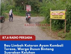 Bau Limbah Kotoran Ayam Kembali Terasa, Warga Dusun Bintang Suarakan Keluhan