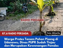 Warga Protes Tanam Pohon Pisang di Udanawu, Dinas PUPR Sudah Tinjau dan Merupakan Kewenangan Pemdes