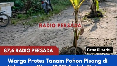 Warga Protes Tanam Pohon Pisang di Udanawu, Dinas PUPR Sudah Tinjau dan Merupakan Kewenangan Pemdes