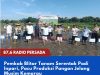 Pemkab Blitar Tanam Serentak Padi Inpari, Pacu Produksi Pangan Jelang Musim Kemarau