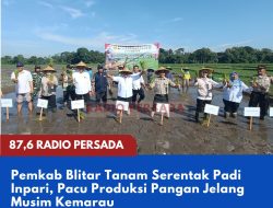 Pemkab Blitar Tanam Serentak Padi Inpari, Pacu Produksi Pangan Jelang Musim Kemarau
