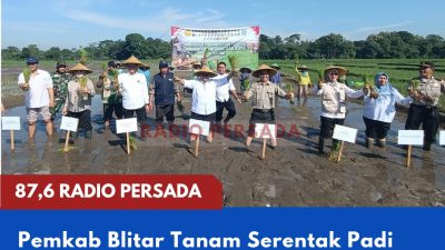 Pemkab Blitar Tanam Serentak Padi Inpari, Pacu Produksi Pangan Jelang Musim Kemarau