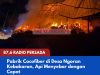 Pabrik Cocofiber di Desa Ngoran Kebakaran, Api Menyebar dengan Cepat