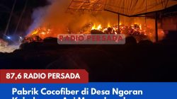 Pabrik Cocofiber di Desa Ngoran Kebakaran, Api Menyebar dengan Cepat