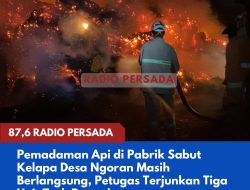 Pemadaman Api di Pabrik Sabut Kelapa Desa Ngoran Masih Berlangsung, Petugas Terjunkan Tiga Unit Truk Pemadam