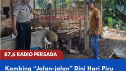 Kambing “Jalan-jalan” Dini Hari Picu Heboh Warga, Polisi Tegaskan Bukan Kasus Pencurian