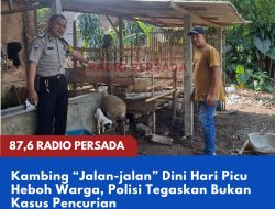 Kambing “Jalan-jalan” Dini Hari Picu Heboh Warga, Polisi Tegaskan Bukan Kasus Pencurian