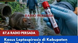 Kasus Leptospirosis di Kabupaten Blitar Meningkat, Selama Januari–April 2026 Tiga Penderita Dilaporkan Meninggal Dunia
