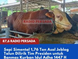 Sapi Simental 1,76 Ton Asal Jeblog Talun Dilirik Tim Presiden untuk Banmas Kurban Idul Adha 1447 H