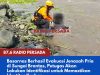 Basarnas Berhasil Evakuasi Jenazah Pria di Sungai Brantas, Petugas Akan Lakukan Identifikasi untuk Memastikan Identitas Korban
