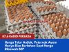 Harga Telur Anjlok, Peternak Ayam Hanya Bisa Bertahan Saat Harga Dibawah BEP