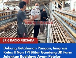 Dukung Ketahanan Pangan, Imigrasi Kelas II Non TPI Blitar Gandeng UD Farm Jalankan Budidaya Ayam Petelur