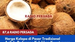 Harga Kelapa di Pasar Tradisional Anjlok, Pedagang Keluhkan Keuntungan Menipis